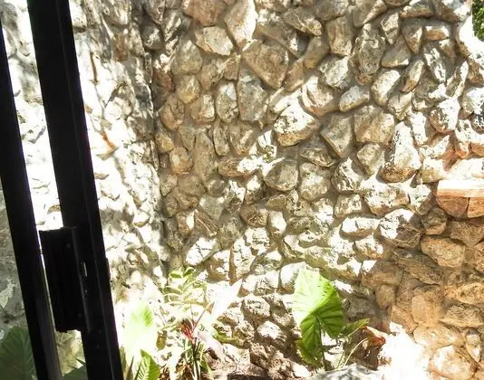 Crocodile Luxury Apartment