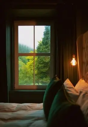 Tek Büyük Yataklı Oda, Kısmi Göl Manzaralı (Room 1)