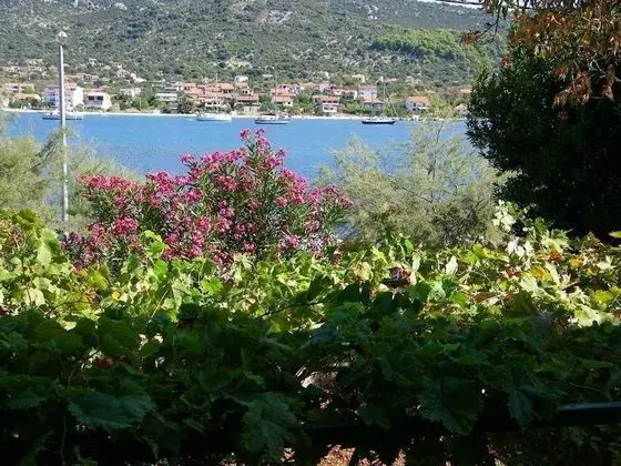 Apart Daire (Fran - 30 m from sea - A1-veliki(5))