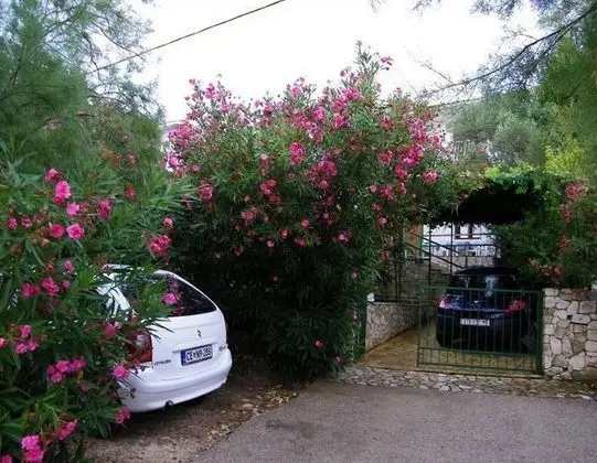 Apart Daire (Fran - 30 m from sea - A1-veliki(5))