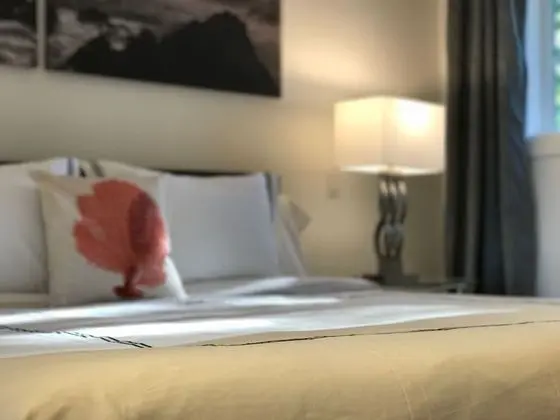 Luxury Süit, 1 En Büyük (King) Boy Yatak, Liman Manzaralı
