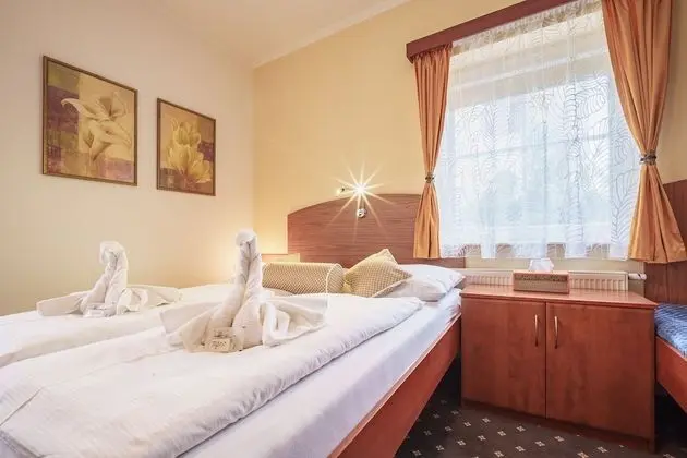 Superior Tek Büyük Yataklı Oda