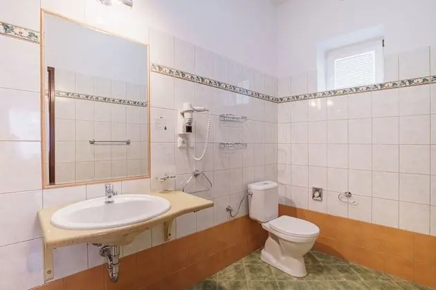 Superior Tek Büyük Yataklı Oda