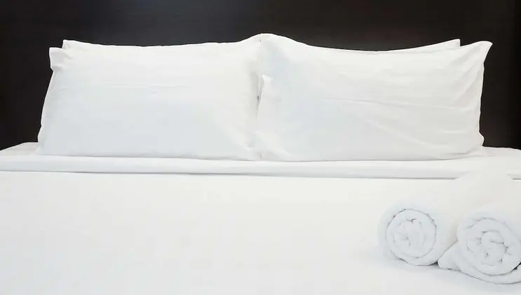 Standard Oda, 2 Büyük (Queen) Boy Yatak, Sigara İçilmez, Buzdolabı ve Mikrodalga (Pet-Friendly)