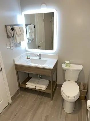 Deluxe Oda, 1 En Büyük (King) Boy Yatak, Sigara İçilmez