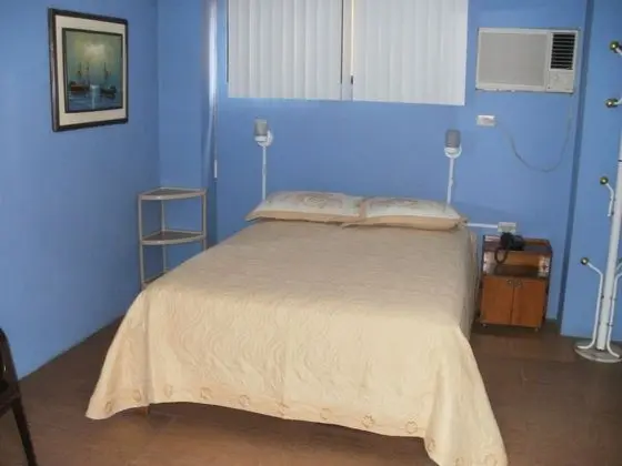 Standard Tek Büyük Yataklı Oda, 1 Çift Kişilik Yatak