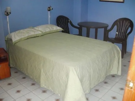 Standard Tek Büyük Yataklı Oda, 1 Çift Kişilik Yatak