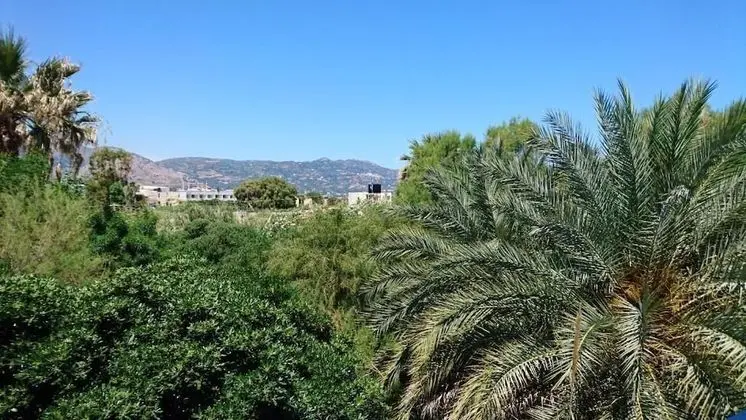 Stüdyo