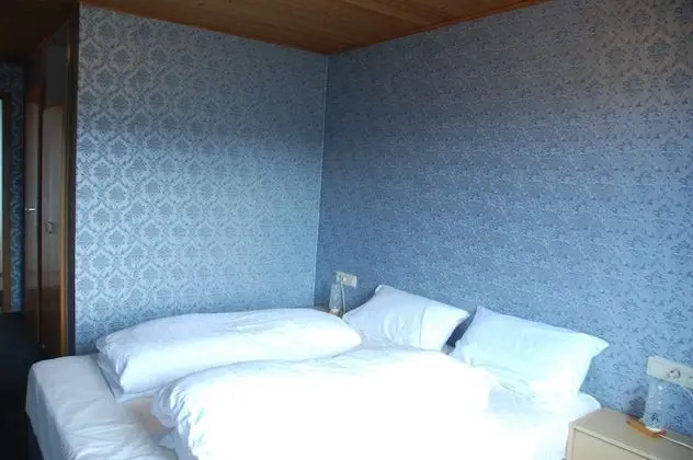 Tek Büyük Yataklı Oda, Özel Banyo, Dağ Manzaralı