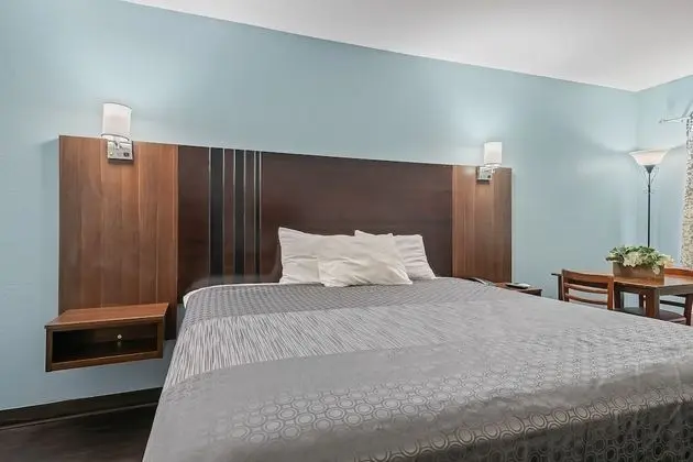 Standard Tek Kişilik Oda, 1 En Büyük (King) Boy Yatak, Sigara İçilmez