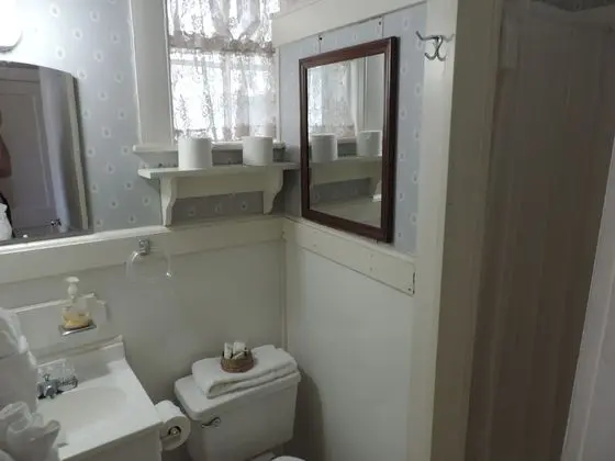Standard Tek Büyük Yataklı Oda, Banyolu/Duşlu (Amber)