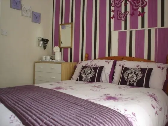 Tek Büyük Yataklı Oda, Banyolu/Duşlu (Room 2)