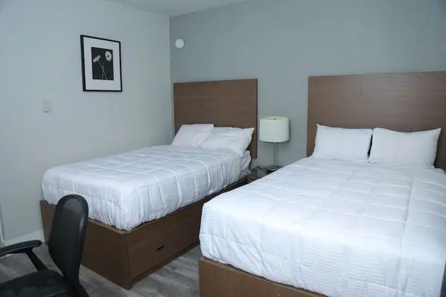 Deluxe Tek Büyük Yataklı Oda, 2 Çift Kişilik Yatak, Küçük Mutfak