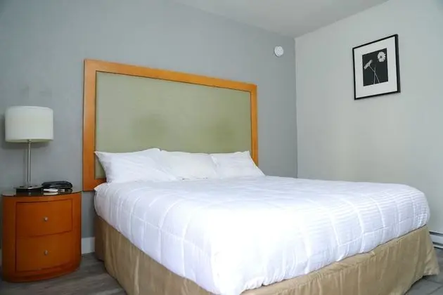 Deluxe Tek Büyük Yataklı Oda, 2 Çift Kişilik Yatak, Küçük Mutfak
