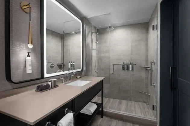 City Oda, 1 En Büyük (King) Boy Yatak, Engellilere Uygun, Şehir Manzaralı