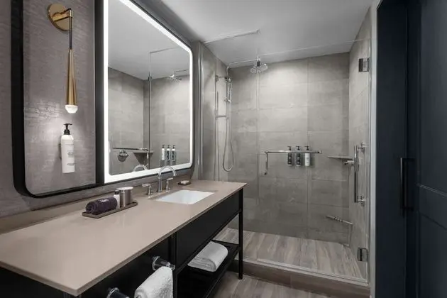 City Oda, 1 En Büyük (King) Boy Yatak, Engellilere Uygun, Şehir Manzaralı