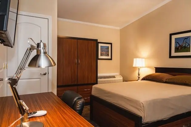 Deluxe Stüdyo, 1 Çift Kişilik Yatak, Mutfak