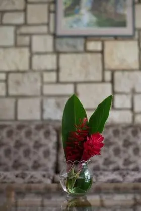 Standard Süit, 2 Tek Kişilik Yatak, Bahçe Manzaralı