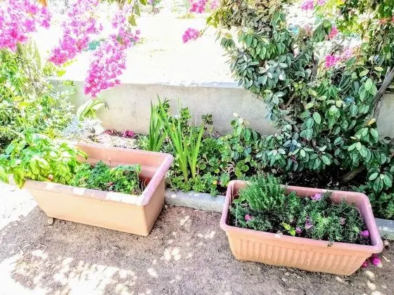 Apart Daire, 2 Yatak Odası, Şömine