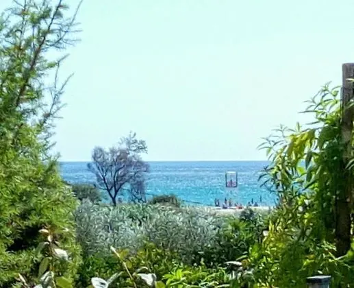 Apart Daire, 2 Yatak Odası, Şömine