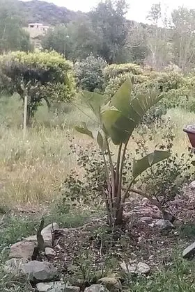 Apart Daire, 2 Yatak Odası, Şömine