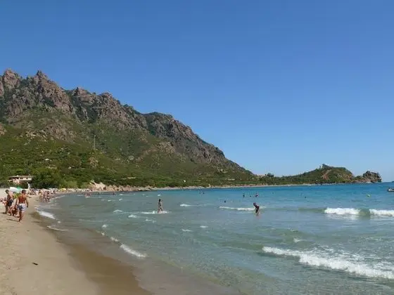 Apart Daire, 2 Yatak Odası, Şömine