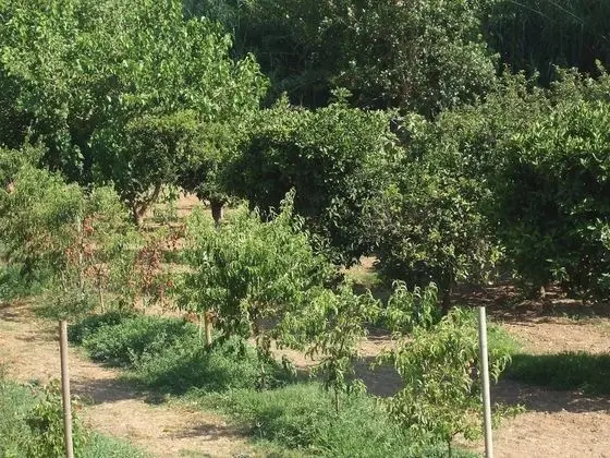 Apart Daire, 2 Yatak Odası, Şömine