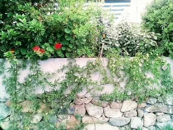 Apart Daire, 2 Yatak Odası, Şömine