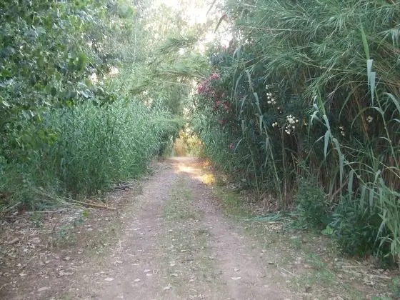 Apart Daire, 2 Yatak Odası, Şömine