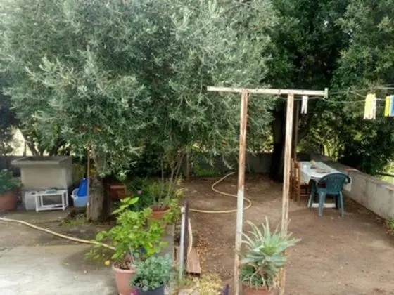 Apart Daire, 2 Yatak Odası, Şömine