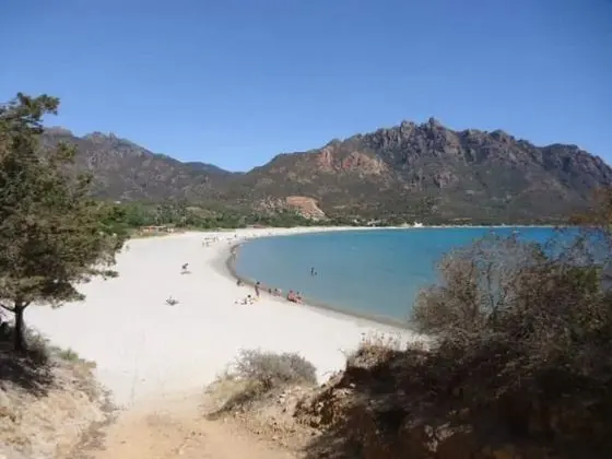 Apart Daire, 2 Yatak Odası, Şömine