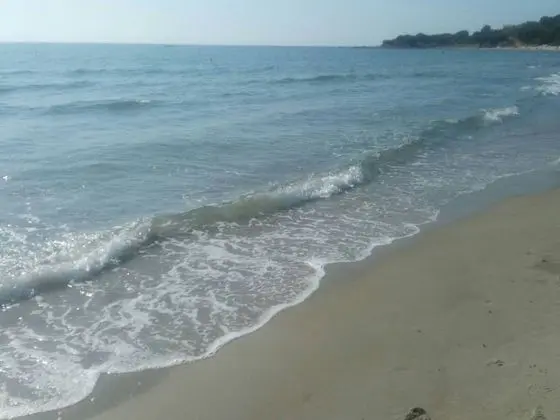 Apart Daire, 2 Yatak Odası, Şömine