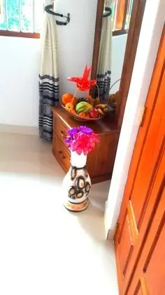 Deluxe Tek Büyük Yataklı Oda, 1 Çift Kişilik Yatak, Ortak Banyo, Bahçe Manzaralı