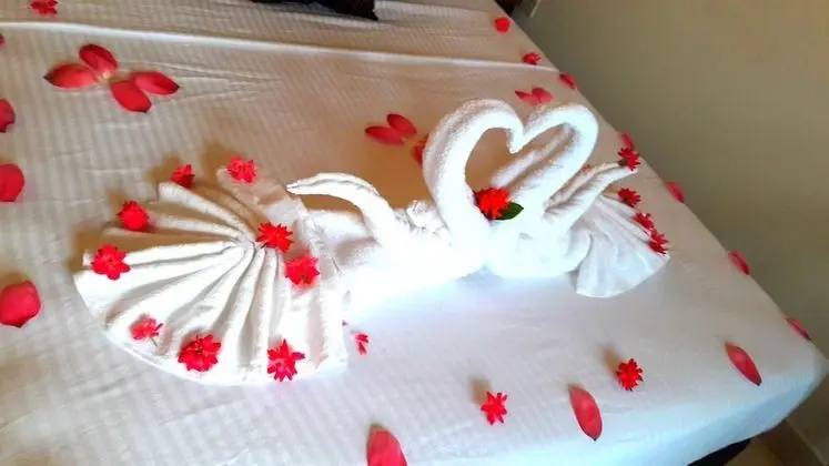 Deluxe Tek Büyük Yataklı Oda, 1 Çift Kişilik Yatak, Ortak Banyo, Bahçe Manzaralı