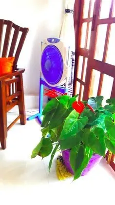 Deluxe Tek Büyük Yataklı Oda, 1 Çift Kişilik Yatak, Ortak Banyo, Bahçe Manzaralı