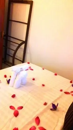Standard Tek Büyük Yataklı Oda, 1 Çift Kişilik Yatak, Ortak Banyo, Bahçe Manzaralı