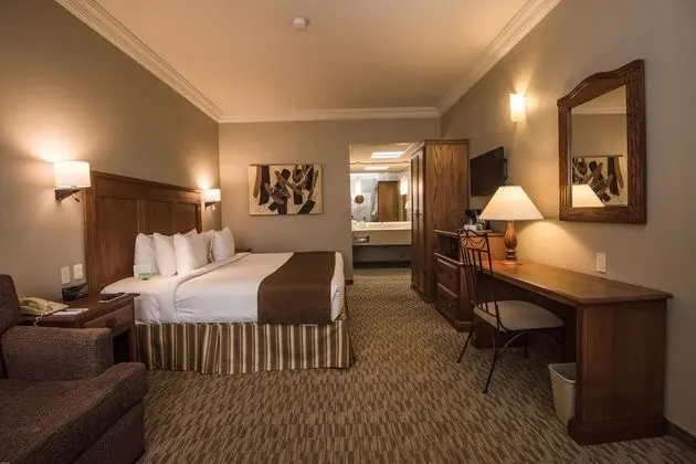 Comfort Oda, 1 En Büyük (King) Boy Yatak