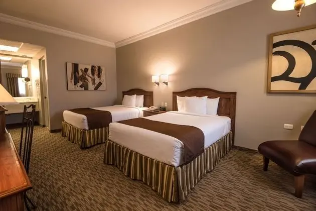 Tek Büyük Yataklı Oda, 2 Çift Kişilik Yatak