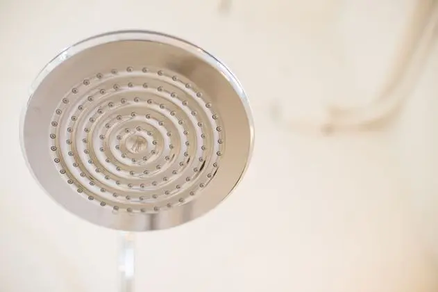 Design Oda, 1 En Büyük (King) Boy Yatak, Bahçe Manzaralı