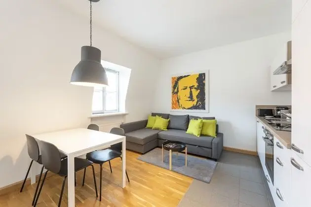 City Apart Daire, 1 Büyük (Queen) Boy Yatak ve Çekyat, Mutfak (Elisabeth)