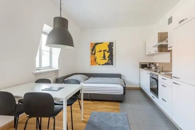 City Apart Daire, 1 Büyük (Queen) Boy Yatak ve Çekyat, Mutfak (Sophie)