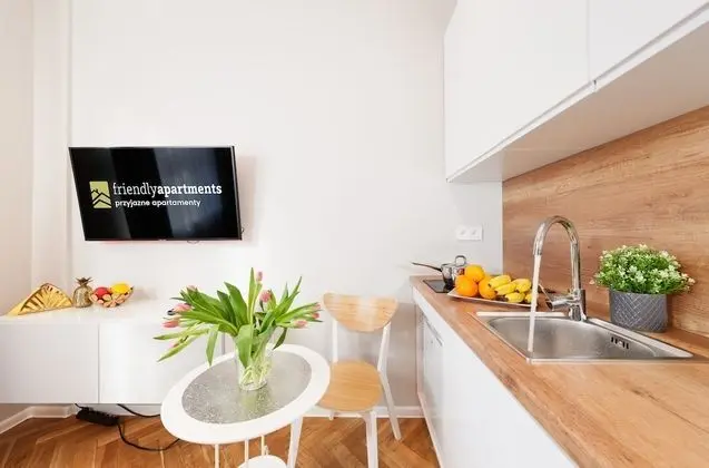 Basic Apart Daire, Küçük Mutfak, Şehir Manzaralı (Nr 9, Kramarska)