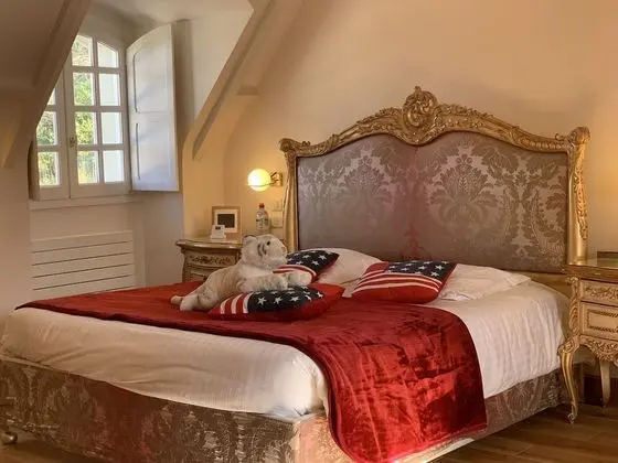 Deluxe Tek Büyük Yataklı Oda (Queen)