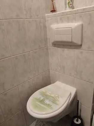 Ortak Ranzalı Oda, Karma Ranzalı Oda, Ortak Banyo (8 Beds)