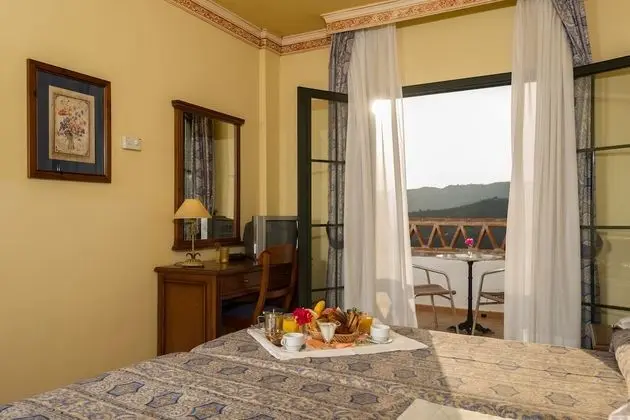 Tek Büyük veya İki Ayrı Yataklı Oda (with balcony or terrace)