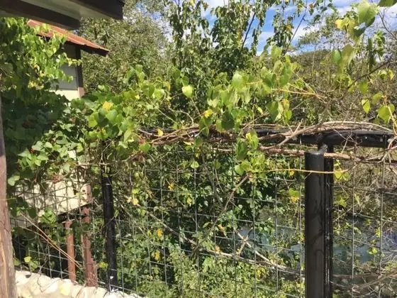 Kulübe, 2 Yatak Odası