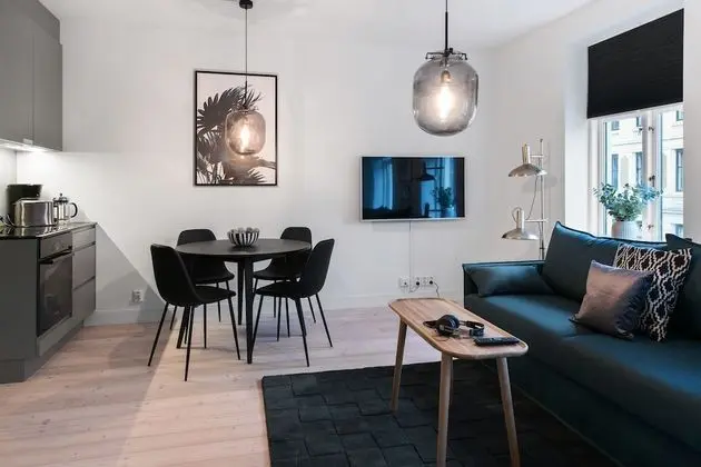 Apart Daire, 1 Yatak Odası