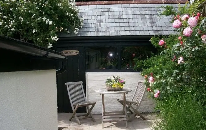 Comfort Tek Büyük Yataklı Oda, Banyolu/Duşlu, Bahçe Manzaralı (The Garden Room)