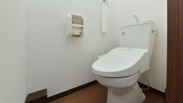 Deluxe Tek Büyük Yataklı Oda, 1 Yatak Odası, Sigara İçilmez, Küçük Mutfak