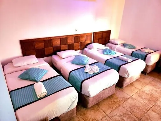 Deluxe Dört Kişilik Oda, 1 Yatak Odası, Balkon, Havuz Kenarı
